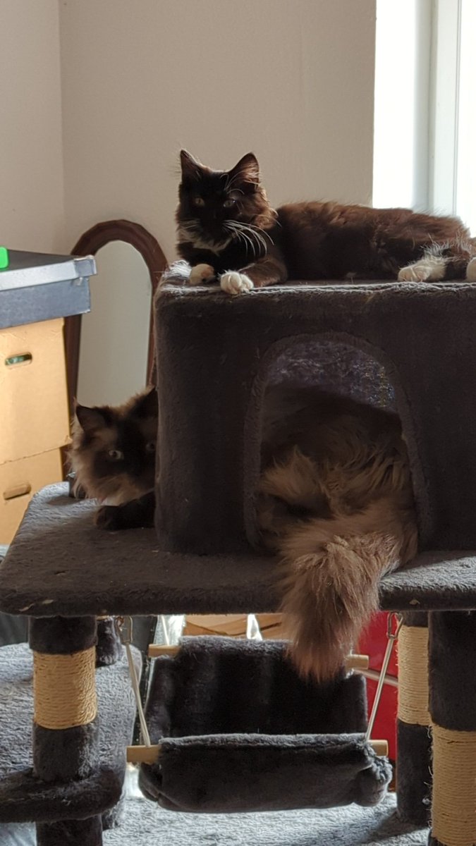 Luigi Florence tweet media