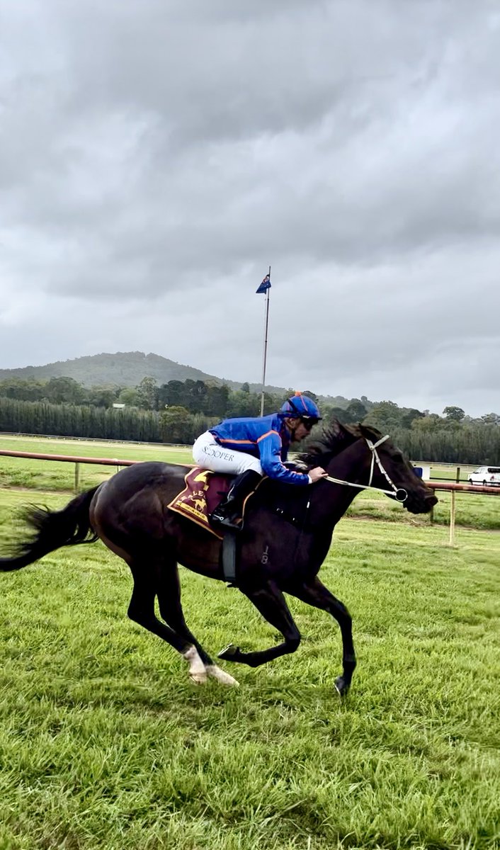 A jockey in great form is Shaun Cooper. Notching up trebles at his past two meetings, Shaun has ridden six winners from his past nine rides! 👏🏻

📷 from <a href="/Healesvillerace/">Healesville Races</a> Saturday