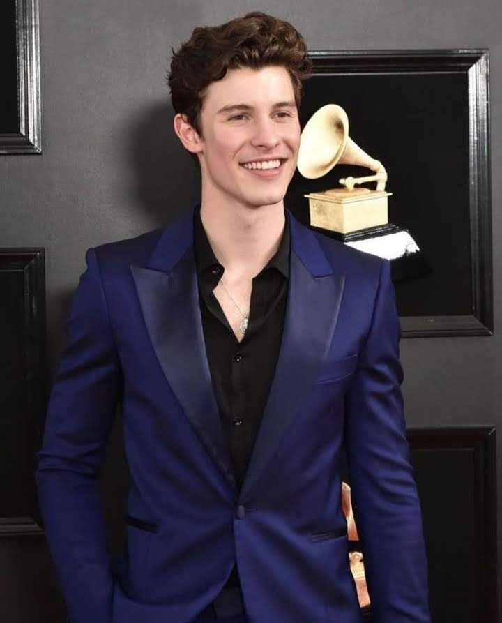 shawnfthoney's tweet photo. hoy son los #Grammys y es un día perfecto para recordar los mejores outfits de shawn mendes en las ceremonias del 2018/2019 ✨ https://t.co/kCwcaebFdg