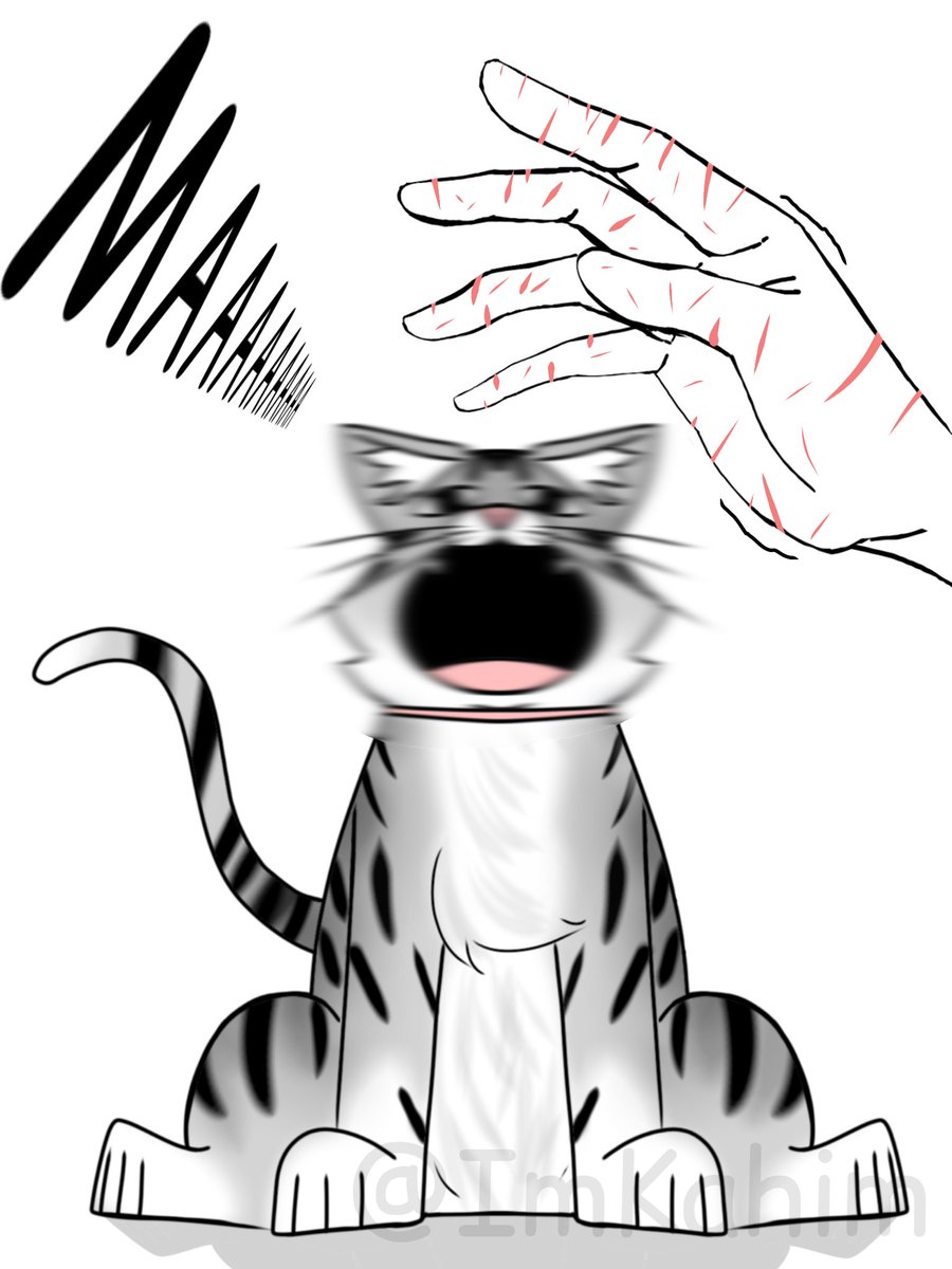 ImKahim's tweet photo. Dibujé a mi gata.
#art #arte #cat #artist #artista #artists #artistsontwitter #sketch #skething #drawing #draw #DigitalArtist #digitaldrawing #dibujo #dibujodigital #doodle #doodles #memes #cosasquememantienenhumilde #cosasdegatos #CatsofTwittter #cats #cat https://t.co/0E7VPF0oKL