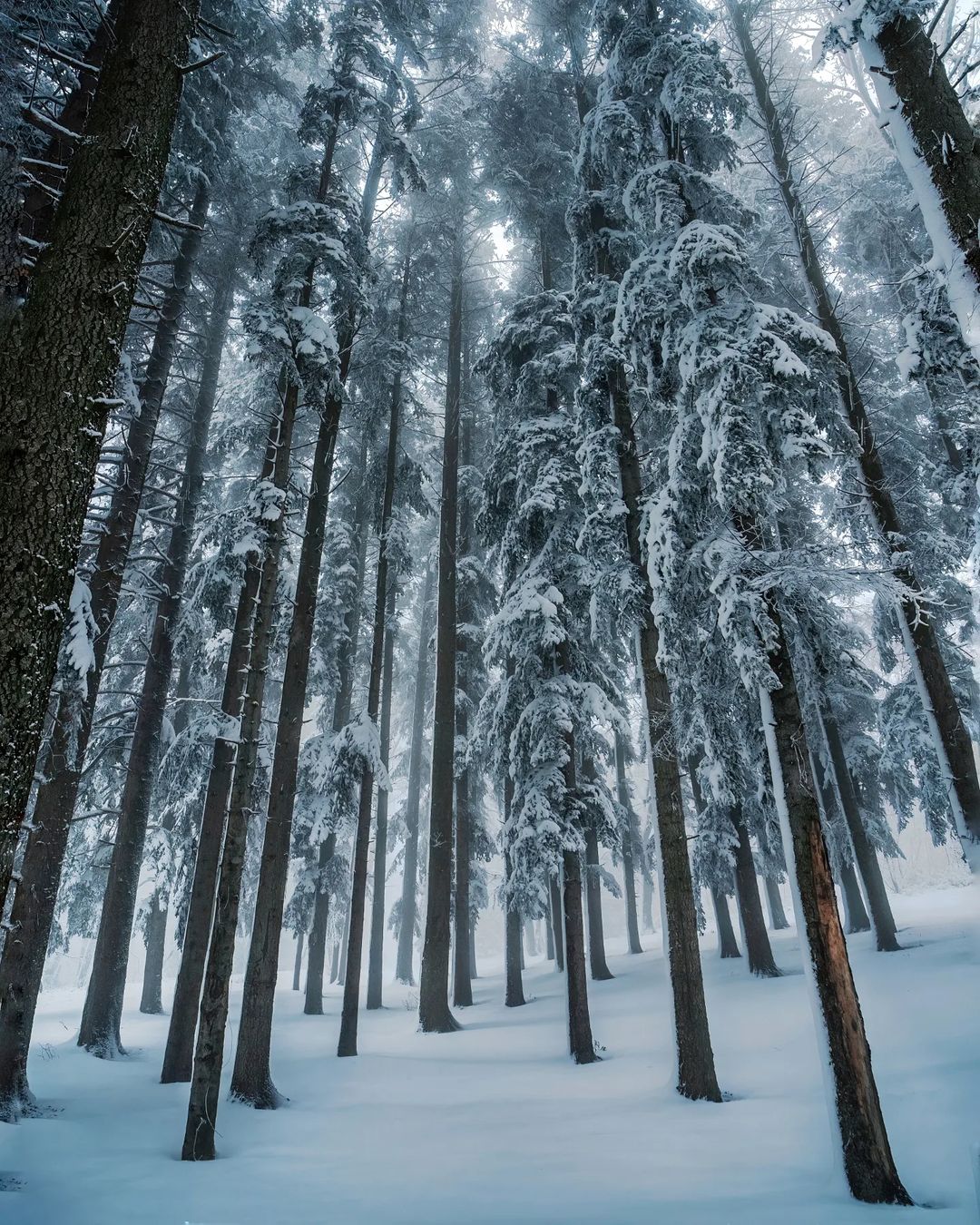 Serbia in Zambia on Twitter "Good night Zambia, with some of the