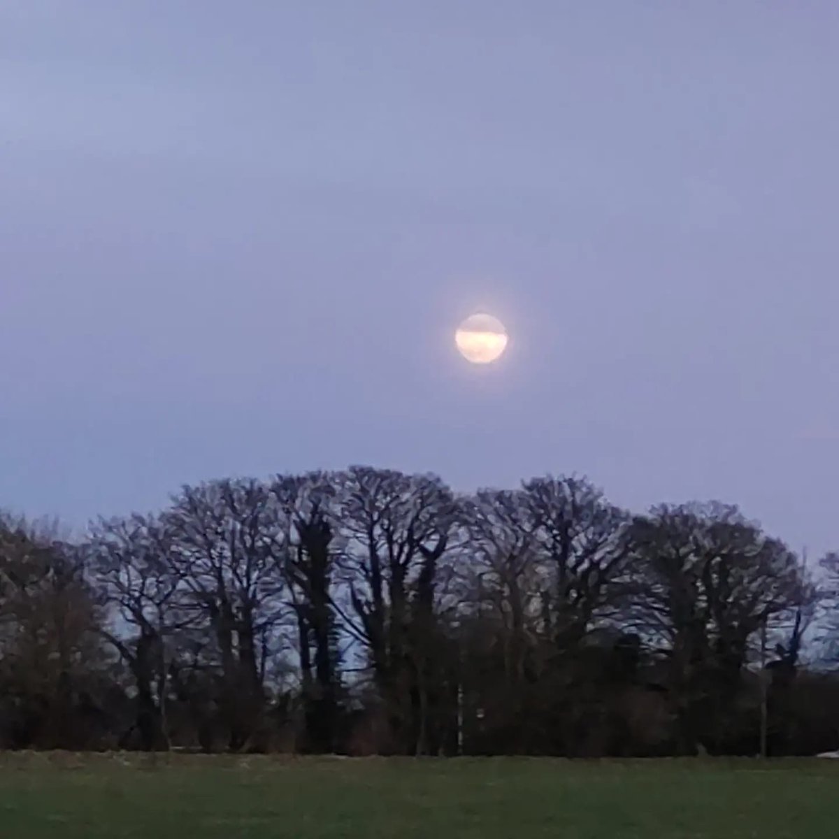 DannydudlowF's tweet photo. Le ciel était incroyable ce soir alors que je marchais à Bath, depuis Rainbow Wood Farm et jusqu'à Widcombe Hill, et  il y avait une lune pleine. https://t.co/tEWiSaEhzH