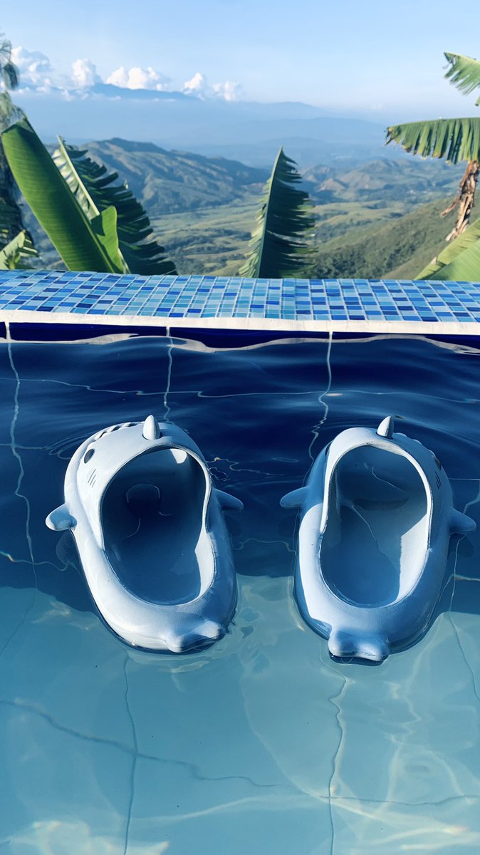 hunnybubbakids's tweet photo. Take your Shark slides🦈 everywhere you go! All around the world 🌎
https://t.co/O1dK60Bm78
#sharkslides #sharksandals #Travel #traveling #sundayvibes #traveldiaries #slide #Sandal #slippers #kids #matchingslides #Shoes https://t.co/eYVLCeRjkO