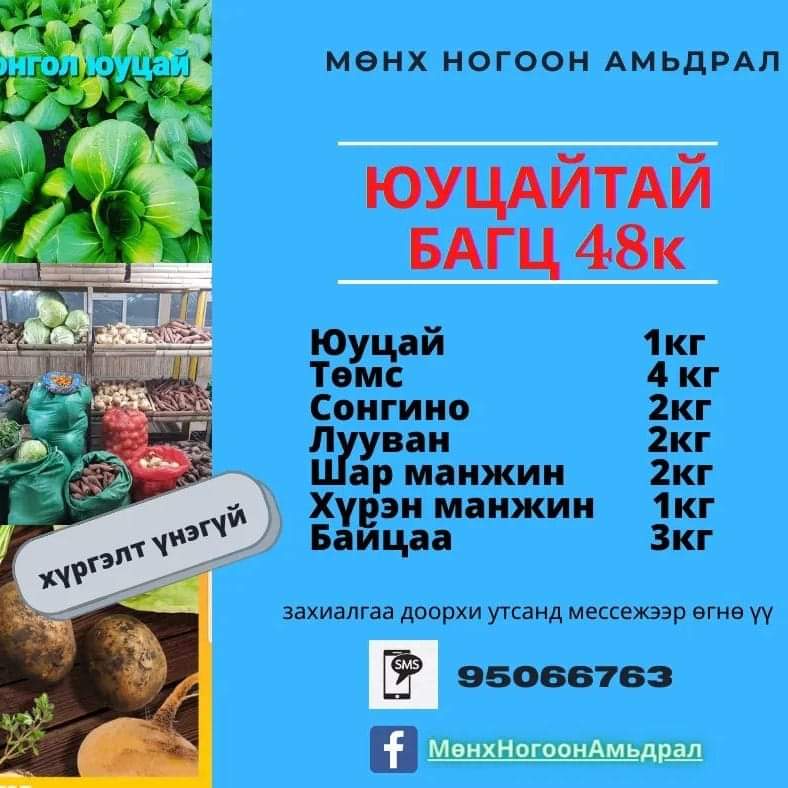 altantsatsralt's tweet photo. Монгол ногооны багц хүргээд өгнө.
95066763-д "Багц" гэсэн мсж өглөө, ногоо танай үүдэнд очлоо.
Сайхан монгол ногоотой хоол. https://t.co/GlatXSDd3N