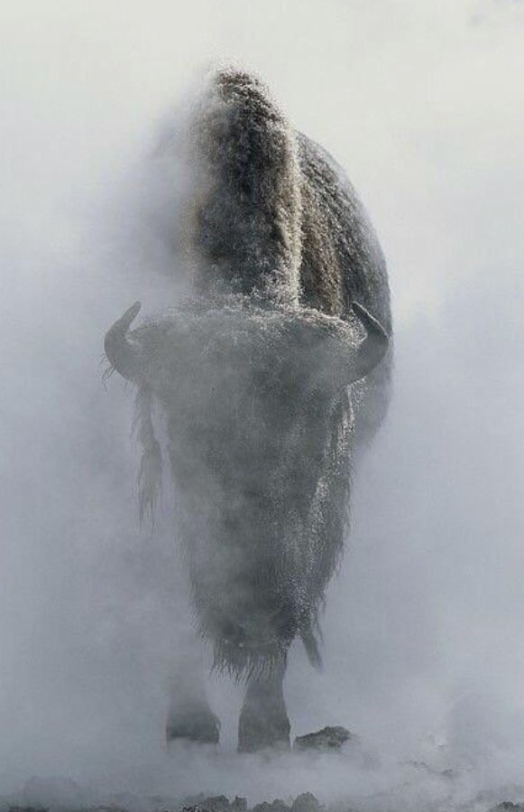 Loving the grind already <a href="/OBU_Football/">OBU Football</a> <a href="/OBUCoachJensen/">Chris Jensen</a> <a href="/backercoach/">CoachJasonMelot</a>