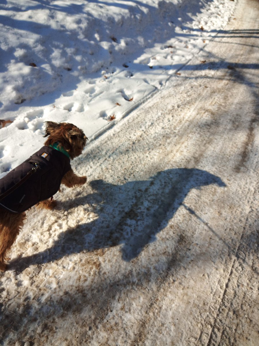 Diesel on the move on the nicest day of 2023 so far! Almost feels warm in the sun :)