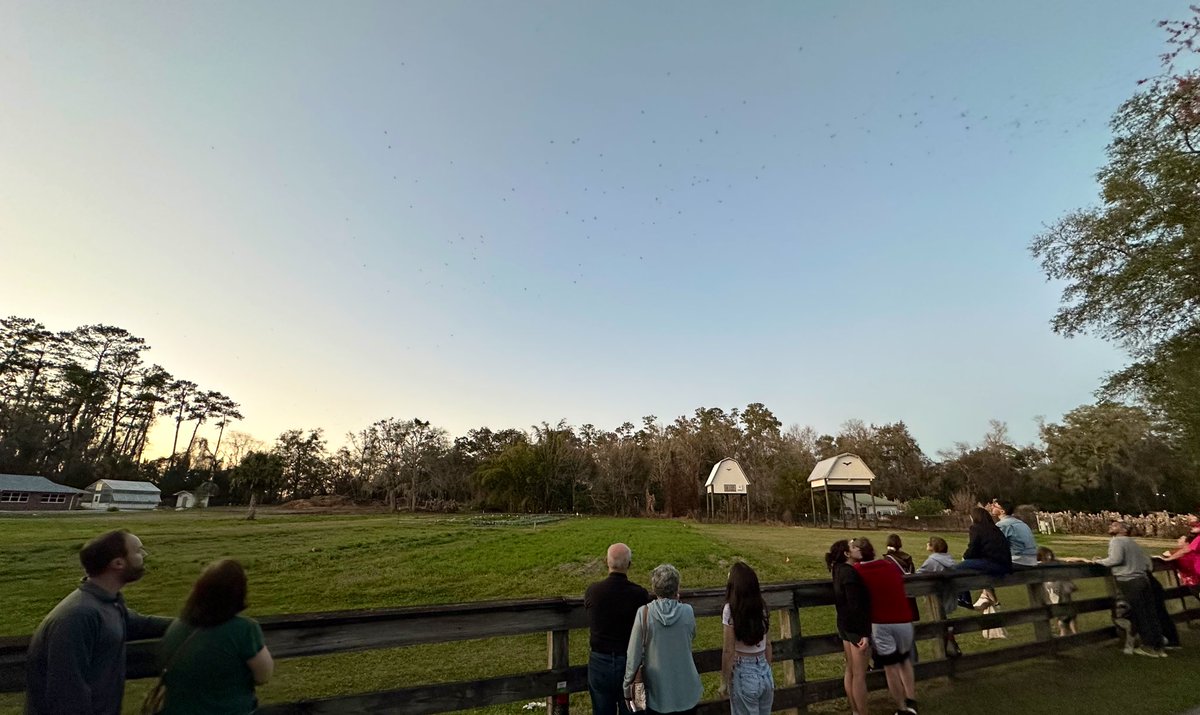 Ben Chase tweet media