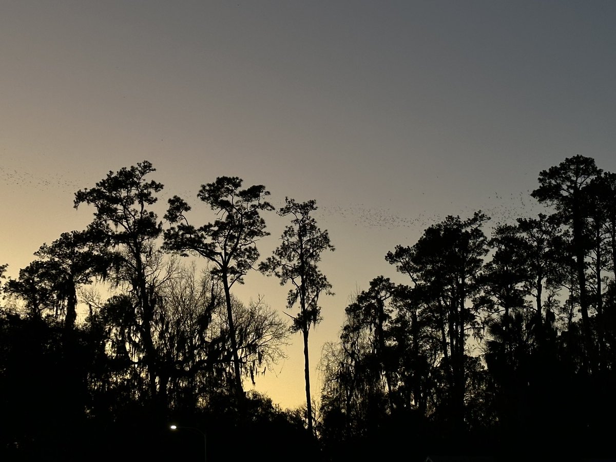 Ben Chase tweet media