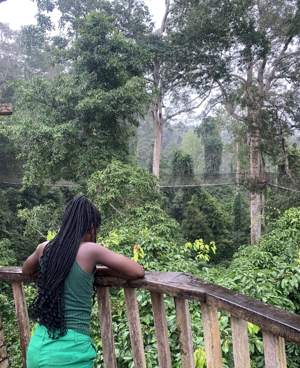 ellaselasi's tweet photo. Hiking above the Trees, over 130 feet above the ground with @viewlife0 was fun. The Kakum canopy walk is quite terrifying, you can’t help but feel adrenaline rush. Nevertheless that’s what makes the experience memorable. Read full blog 👇

https://t.co/MLvItTMVAy https://t.co/IwAl1rkRpN
