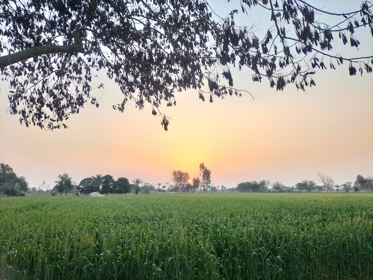 MFayyazAhmadani's tweet image. Good morning from Pakistan
#LalMasjid #MayorKarachi #RipLegend #مہنگائی_شٹرڈاؤن_ہڑتال 
@trtworld #HappyValleyFinale #BBTitians #PakistanBankrupt #BBTitansXJameson