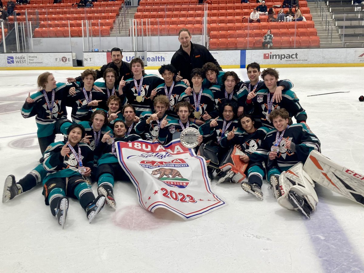 Jr Ducks 18 AAA tweet media