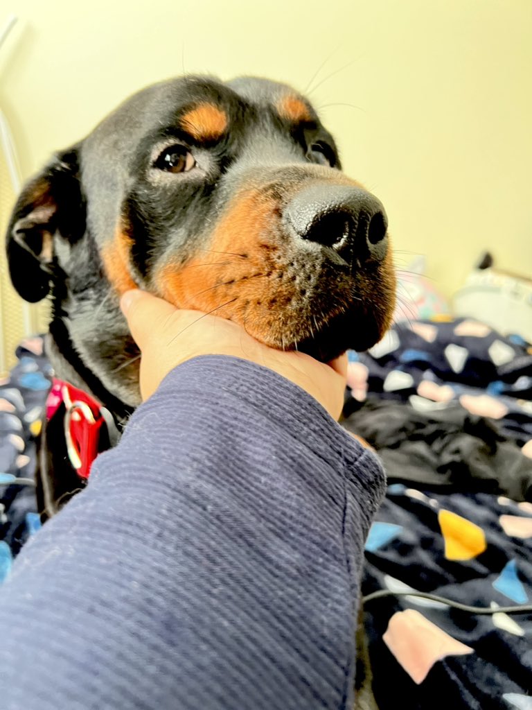 Mama thinks I am very2 cute❤️❤️