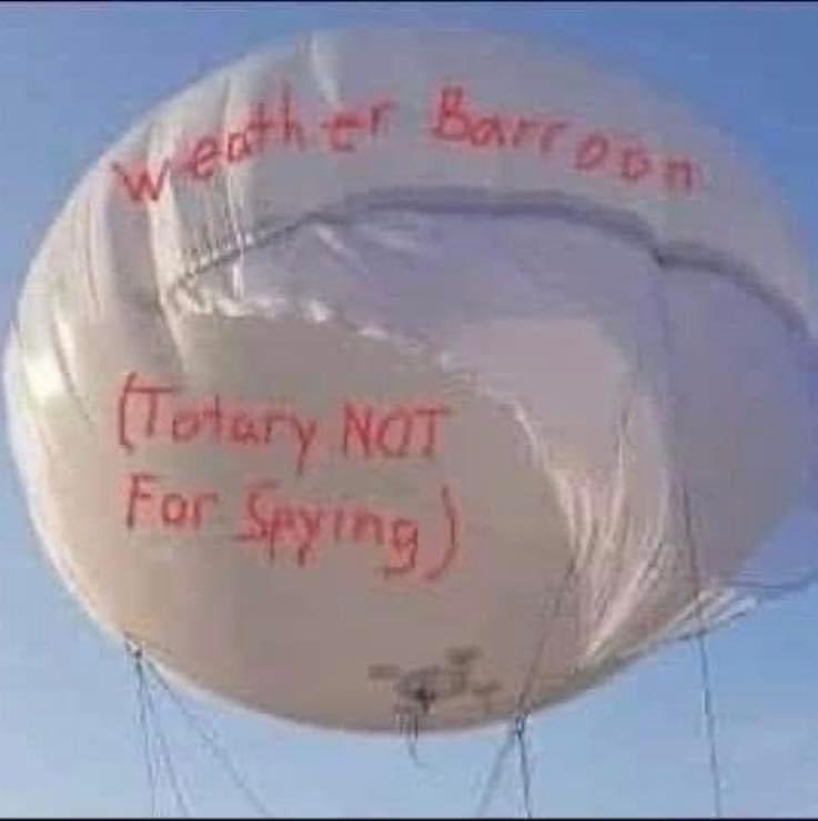 StevenWarren02's tweet image. 