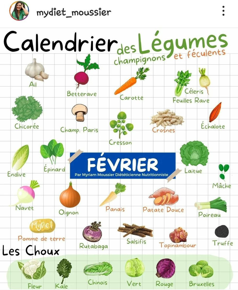 🇫🇷 🤓 💬 📝
#French #DesLégumes 
#learnfrenchwithme
Follow on #Instagram