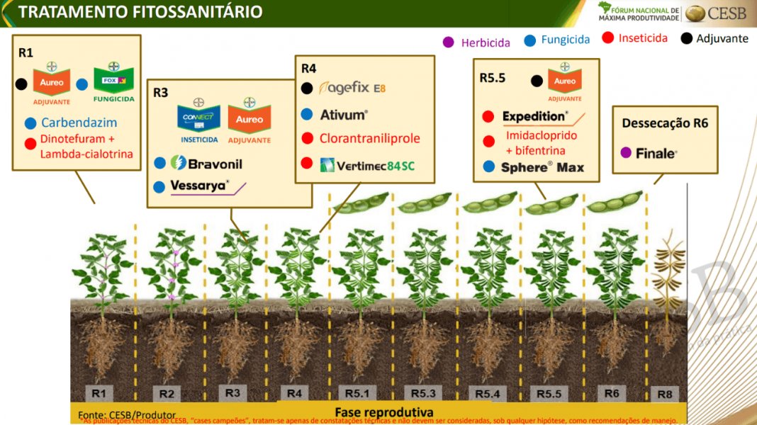 COLHEU 126,85 sc/ha - Campeão Nacional do CESB 21/22  
Equipe Mais Soja - maissoja.com.br/campeao-nacion…
Com incríveis 126,85 sc ha-1 o campeão nacional do desafio de produtividade CESB safra 21/22, é do Sudeste, Fazenda São João, Pilar do Sul, SP. O produtor Matheus Leonel Nunes,