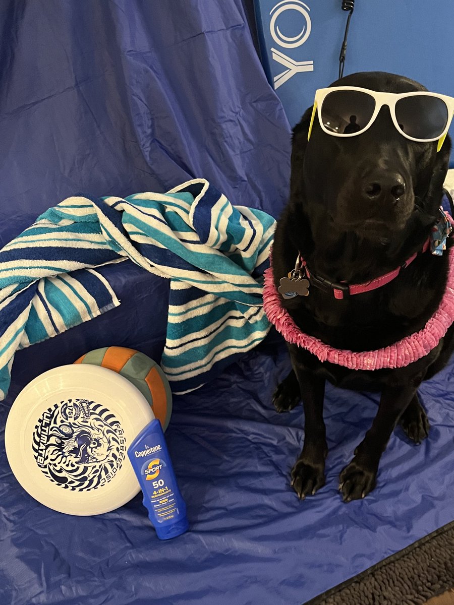 HDV Swim & Dive Team (@hdvswim) on Twitter photo HDV SWIMMERS, in just 10 short hours you will arrive at Taper Island! #FinishStrong #GoCATS <a href="/hd_athletics/">HD Athletics</a> <a href="/HDAthleticBoost/">HD Athletic Boosters</a> <a href="/DavidsonHS/">Hilliard Davidson</a> HDV SWIMMERS, in just 10 short hours you will arrive at Taper Island! #FinishStrong #GoCATS <a href="/hd_athletics/">HD Athletics</a> <a href="/HDAthleticBoost/">HD Athletic Boosters</a> <a href="/DavidsonHS/">Hilliard Davidson</a>