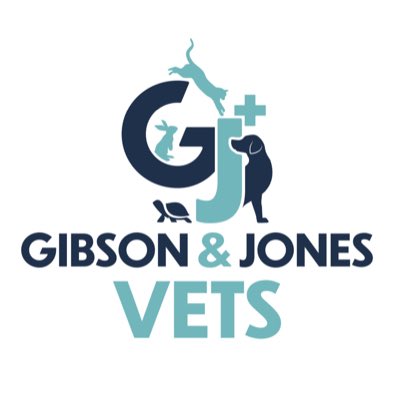 Gibson & Jones Vets tweet media