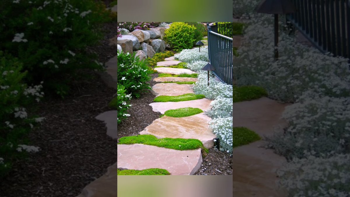 AllForGardening's tweet photo. garden walkway design ideas. best pathway ...
#Aceu #Apex #ApexChannel #ApexFunny #ApexGameplay #ApexGuide
https://t.co/937pYU5G6g https://t.co/V8JxRaKcNW