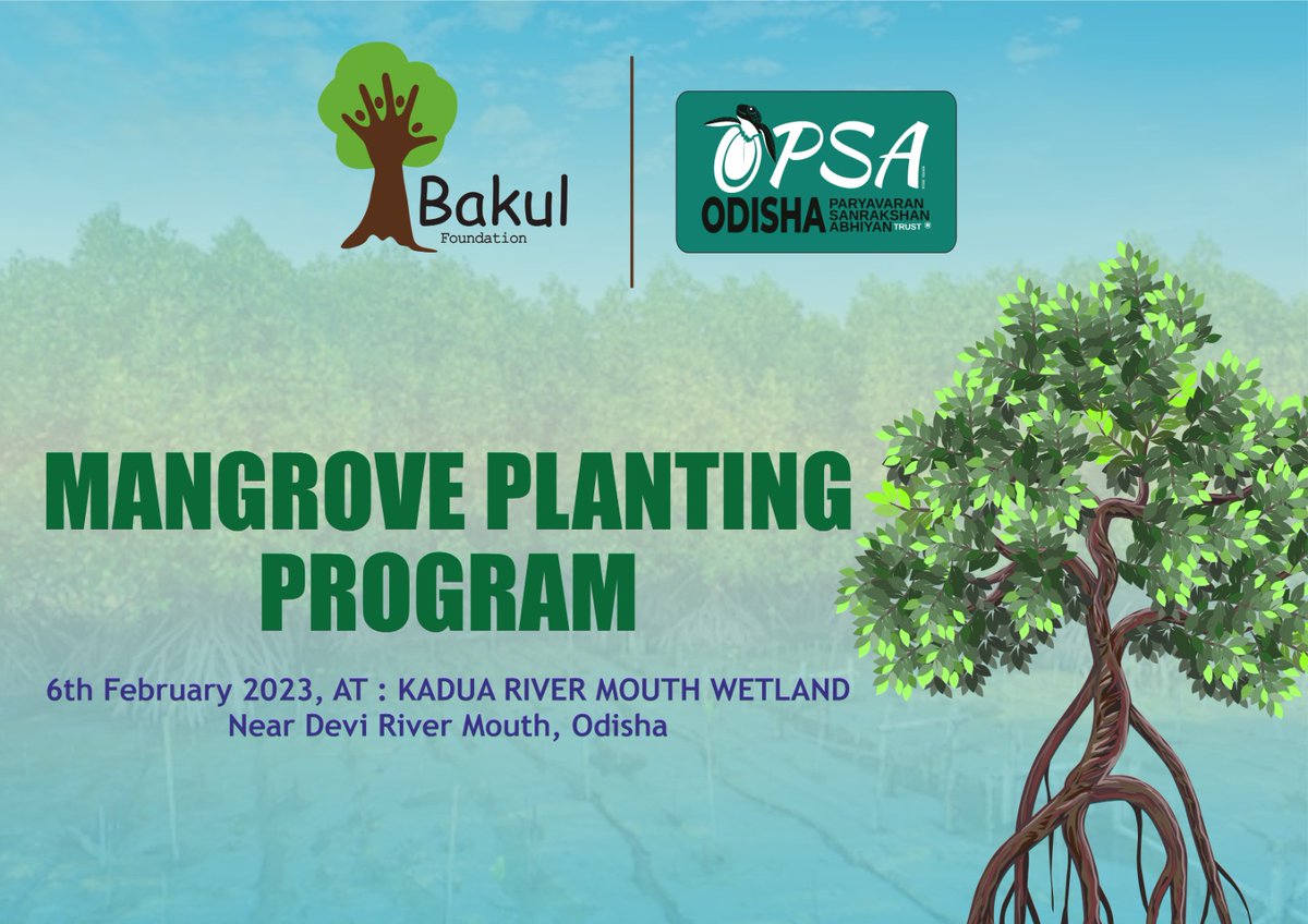 We are going to organise a #Mangrove Plantation Drive in the kadua Estuary Wetland in Astaranga along with the team @BakulFoundation.🌱

Mother earth needs us, let's pledge to plant trees. Join us and do your part.

#YouthForMangroves #ClimateResilence 
#BakulFoundation
 #OPSA
