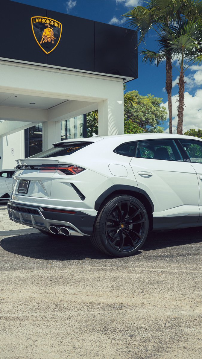 Alpha Exotic Rentals (@alphaexoticrent) / Posts / X
