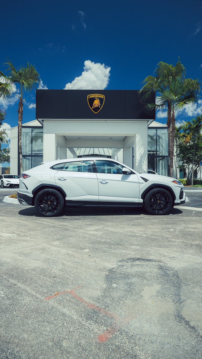 Alpha Exotic Rentals (@alphaexoticrent) / Posts / X