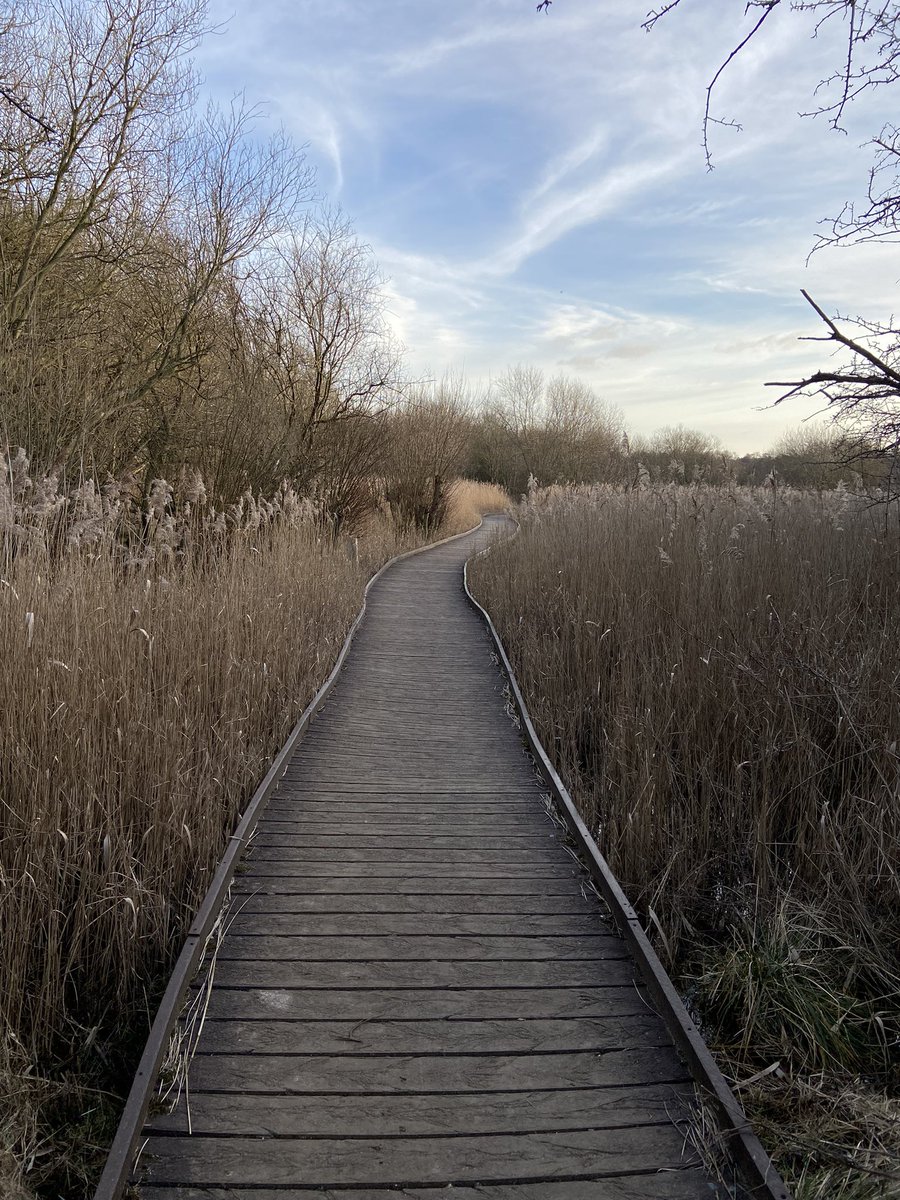 DrydenJan's tweet photo. I think I’ve found my new peaceful place to visit and feel inspired to write ✍️ https://t.co/i5xI17GLWg