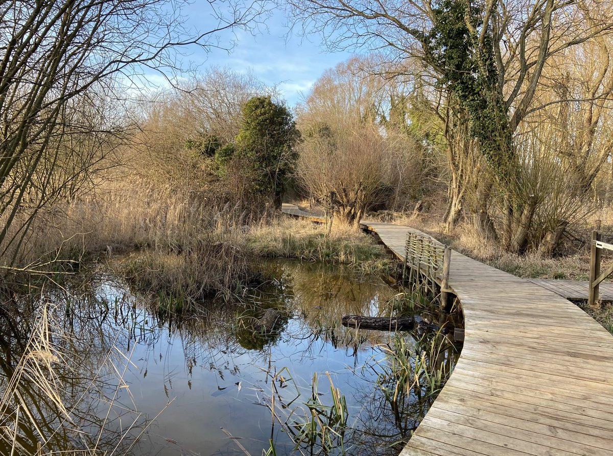DrydenJan's tweet photo. I think I’ve found my new peaceful place to visit and feel inspired to write ✍️ https://t.co/i5xI17GLWg