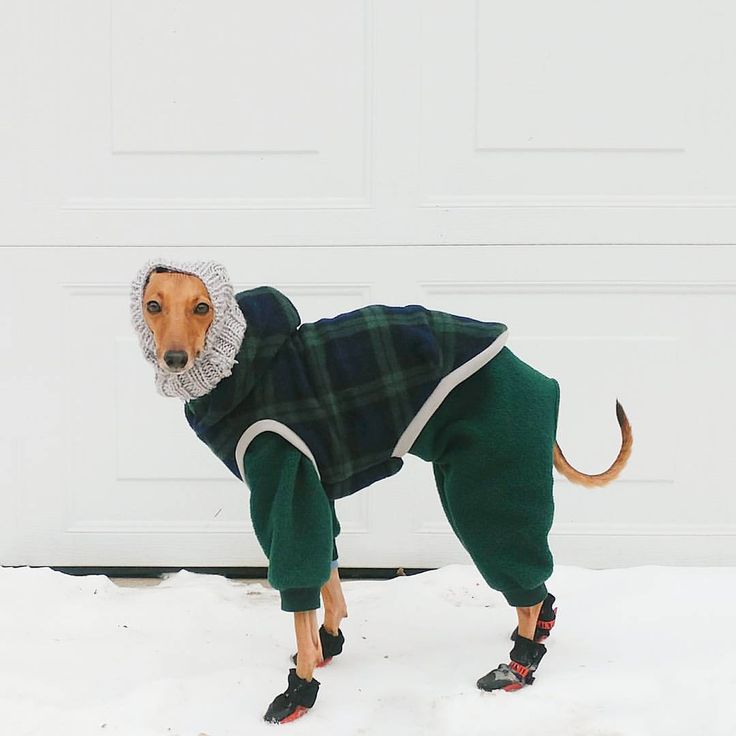 virtex (quit the internet era) (@virtexexe) on Twitter photo 