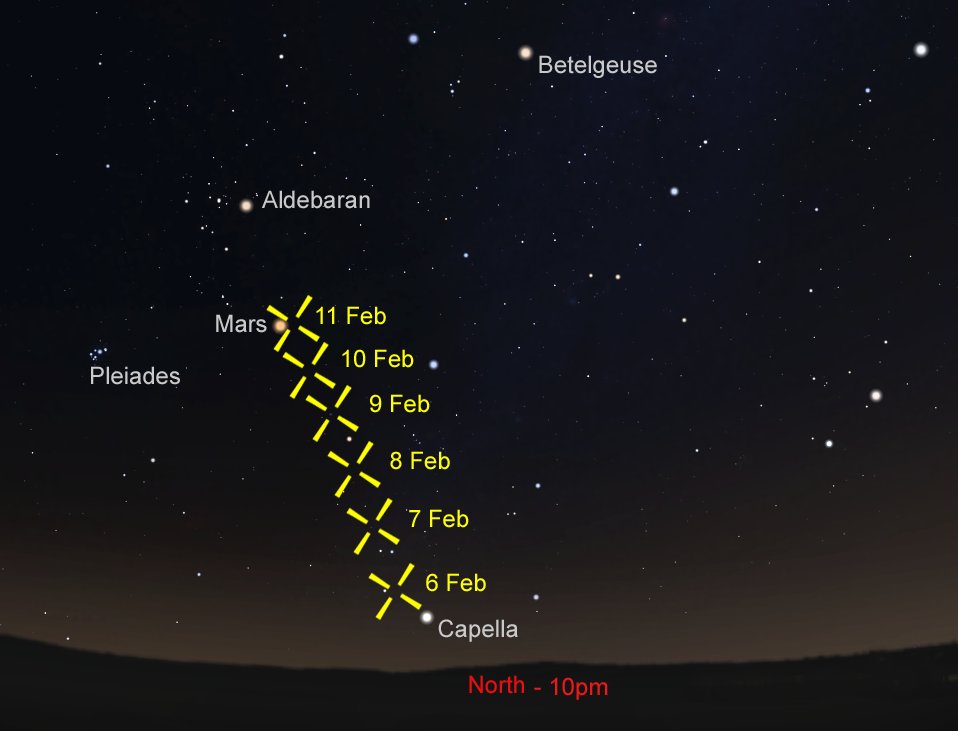 Museums Victoria tweet media