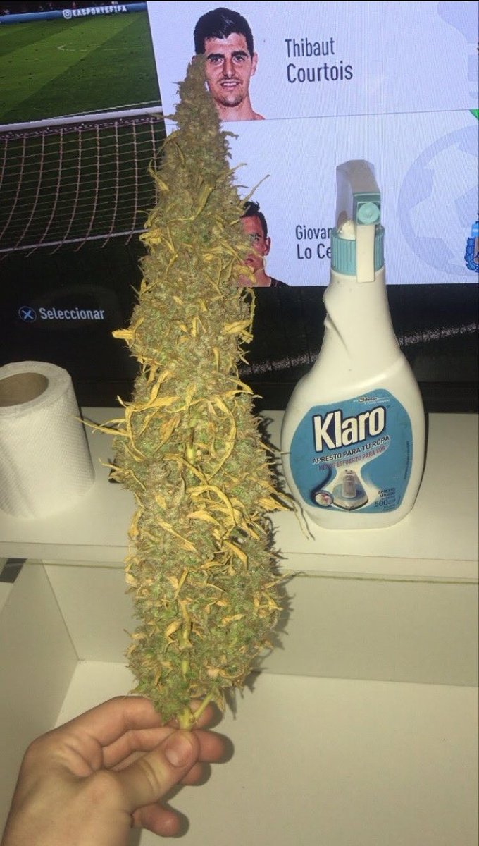Cuánto dicen que pesa?