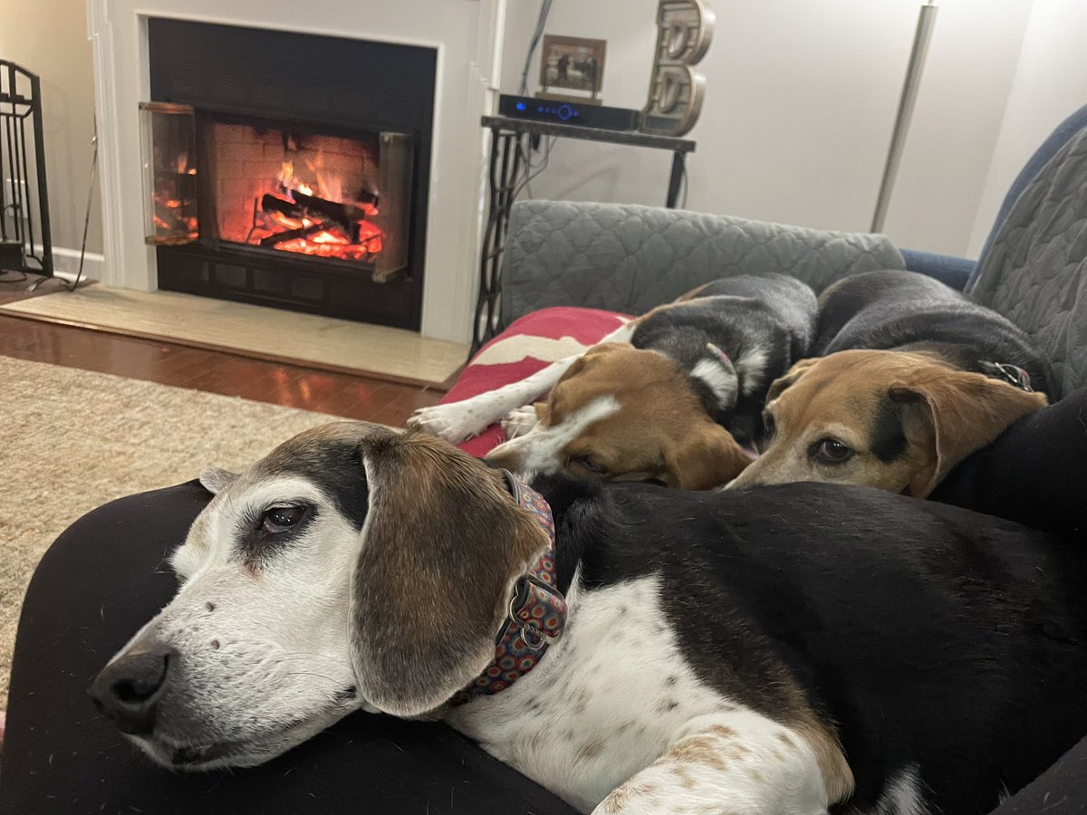 Us Brown Hounds are thinking about our pal Bugsy. #SnugsForBugs