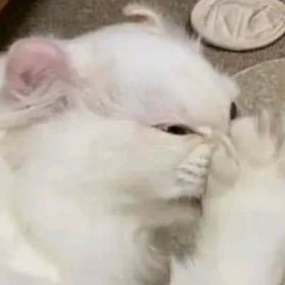 FidelSiqueira's tweet photo. cada vez que a Ana Furtado abre a boca pra fazer um comentário eu fico assim 
#GrammysHBOMax #Grammys2023 #GRAMMYs https://t.co/p0tVQH60bP