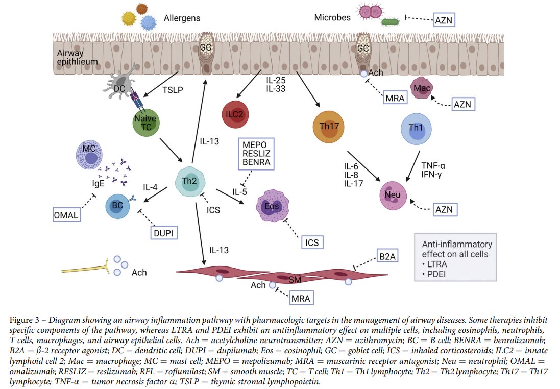 Don Sin (@donsin4) on Twitter photo Have we cured Asthma-COPD Overlap (ACO)? Why have we stopped talking about this public health problem? ~1/3 of our #COPD patients have features of asthma, yet we have no idea what to do with them. Silence will only worsen the crisis. 
journal.chestnet.org/article/S0012-… Have we cured Asthma-COPD Overlap (ACO)? Why have we stopped talking about this public health problem? ~1/3 of our #COPD patients have features of asthma, yet we have no idea what to do with them. Silence will only worsen the crisis. 
journal.chestnet.org/article/S0012-…