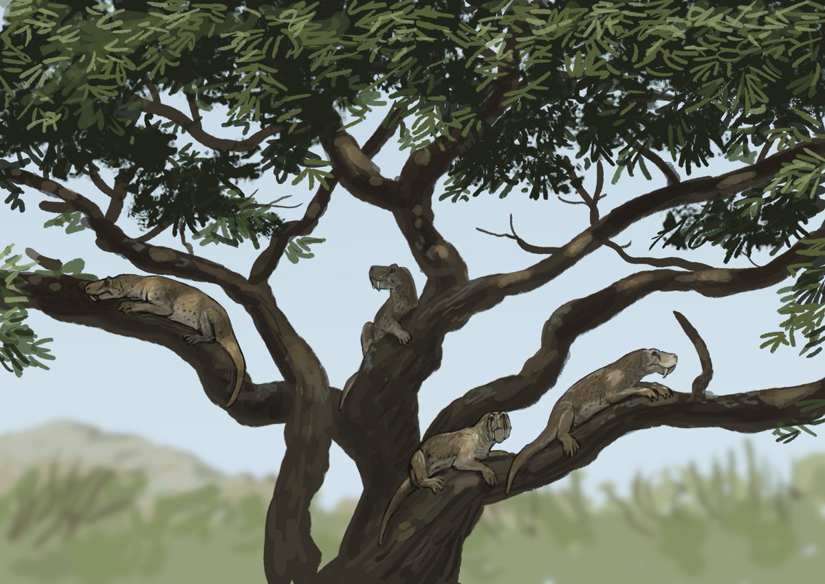 JoschuaKnuppe's tweet image. Results from the #paleostream 
Apateon, Effigia, Dinogorgon and Syllomus (biting a Megalochelys that swims through)