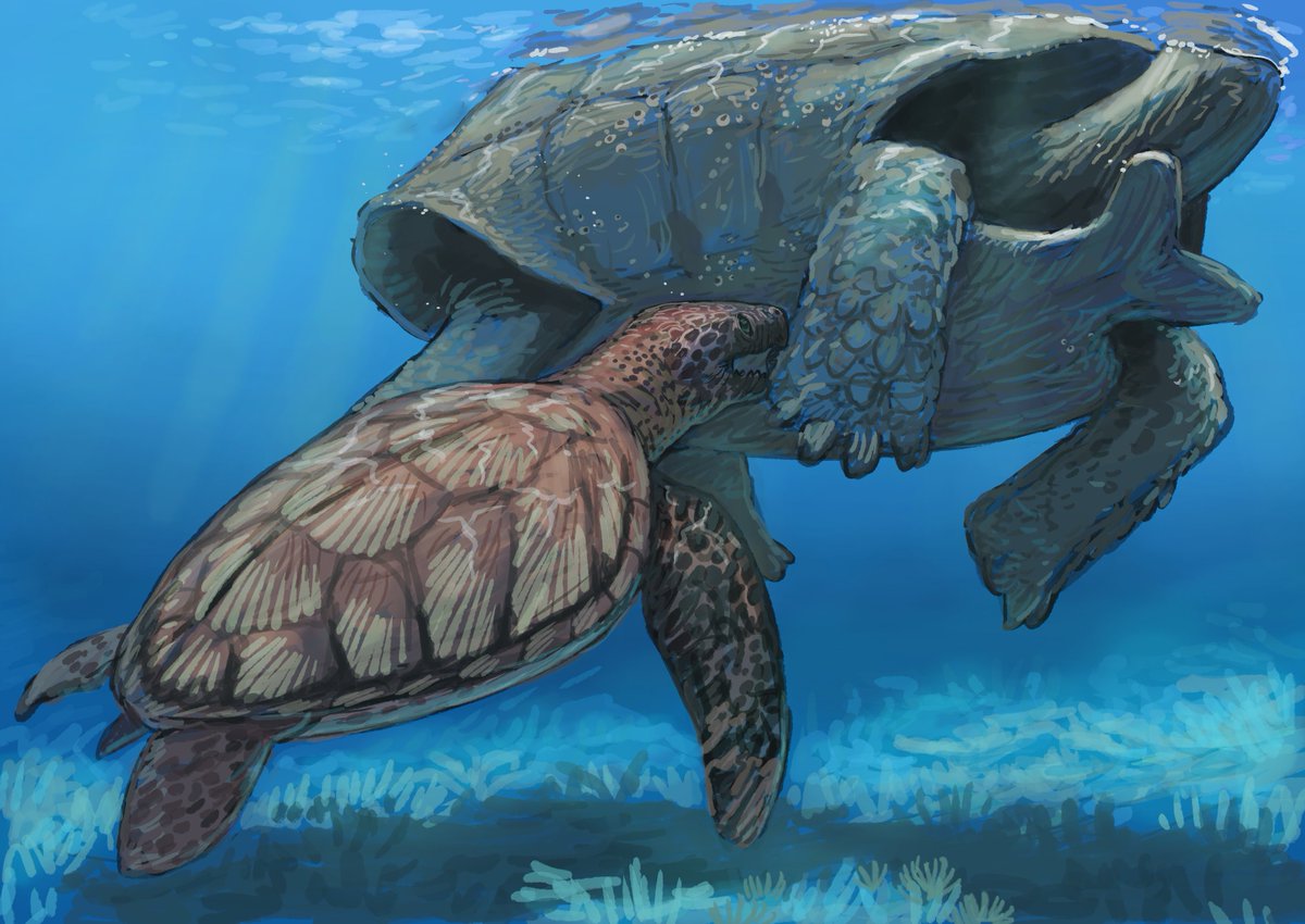 JoschuaKnuppe's tweet image. Results from the #paleostream 
Apateon, Effigia, Dinogorgon and Syllomus (biting a Megalochelys that swims through)