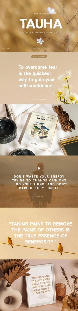 thefeelquotes's tweet image. Tauha Handmade Brush Font → creativetacos.com/tauha-handmade…

#fontlove #brushlettering #letteringdaily #letteringpractice #calligraphy #modernlettering #letteringcommunity