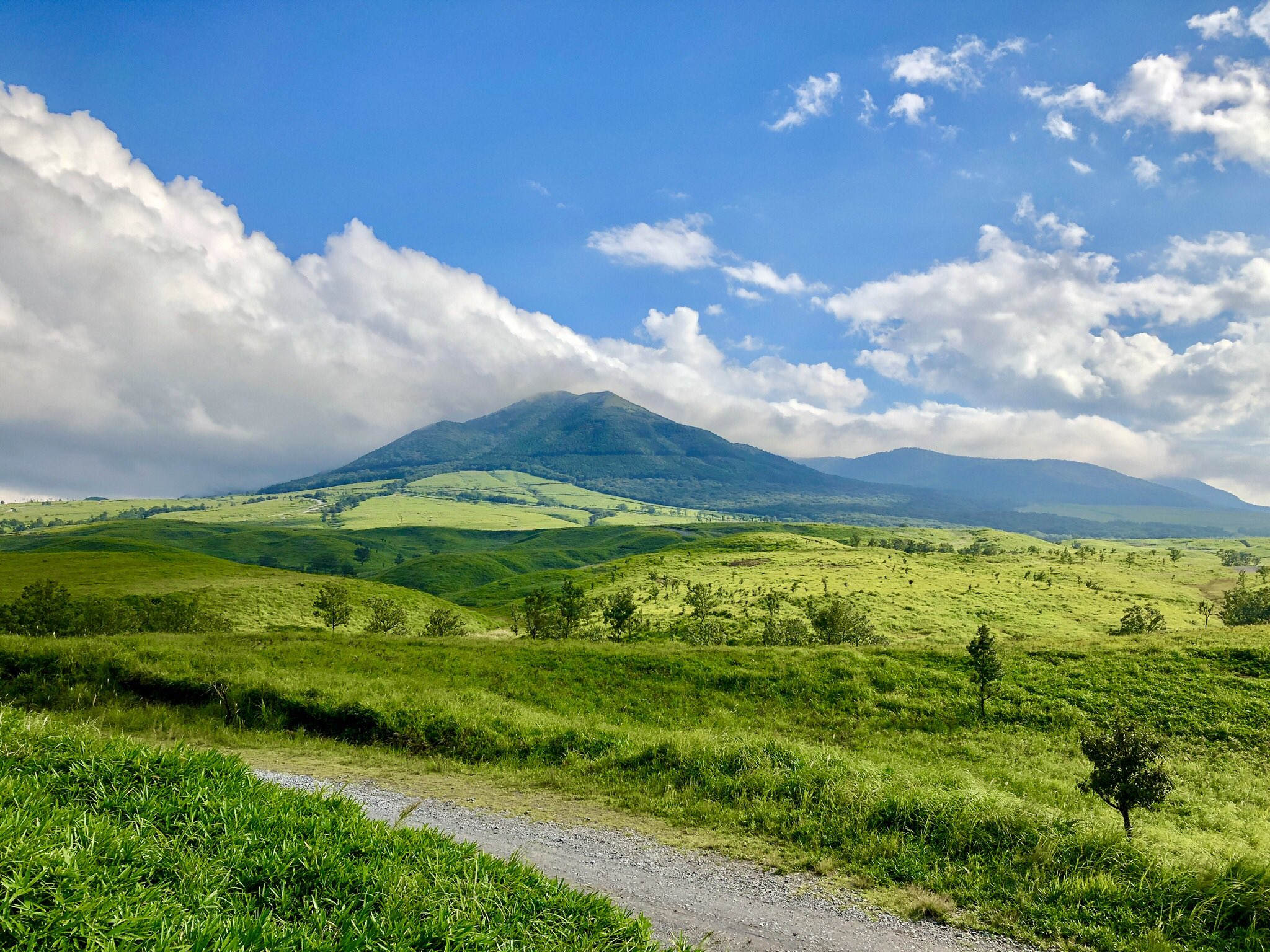 ゆきなみ on Twitter 