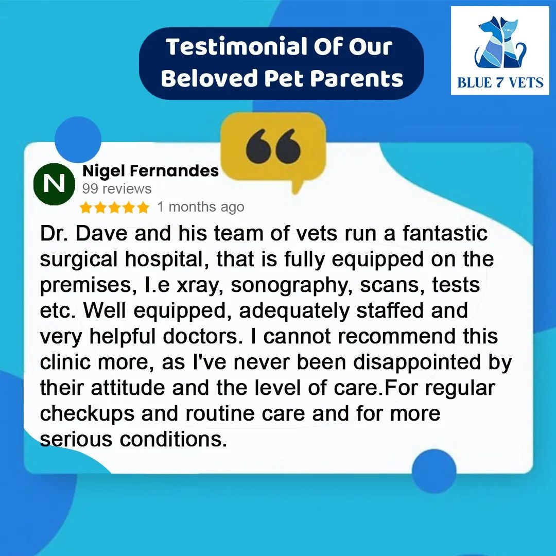 We improve ourselves with the feedback and testimonials you provide. Thank you for positive feedback we will keep improving ourselves.

.
.
.
#doglover #testimonial #review #skin #treatment #petlovers #loveyourpets  #petgrooming #petlover #pets #petsclinic #veterinary #petshop