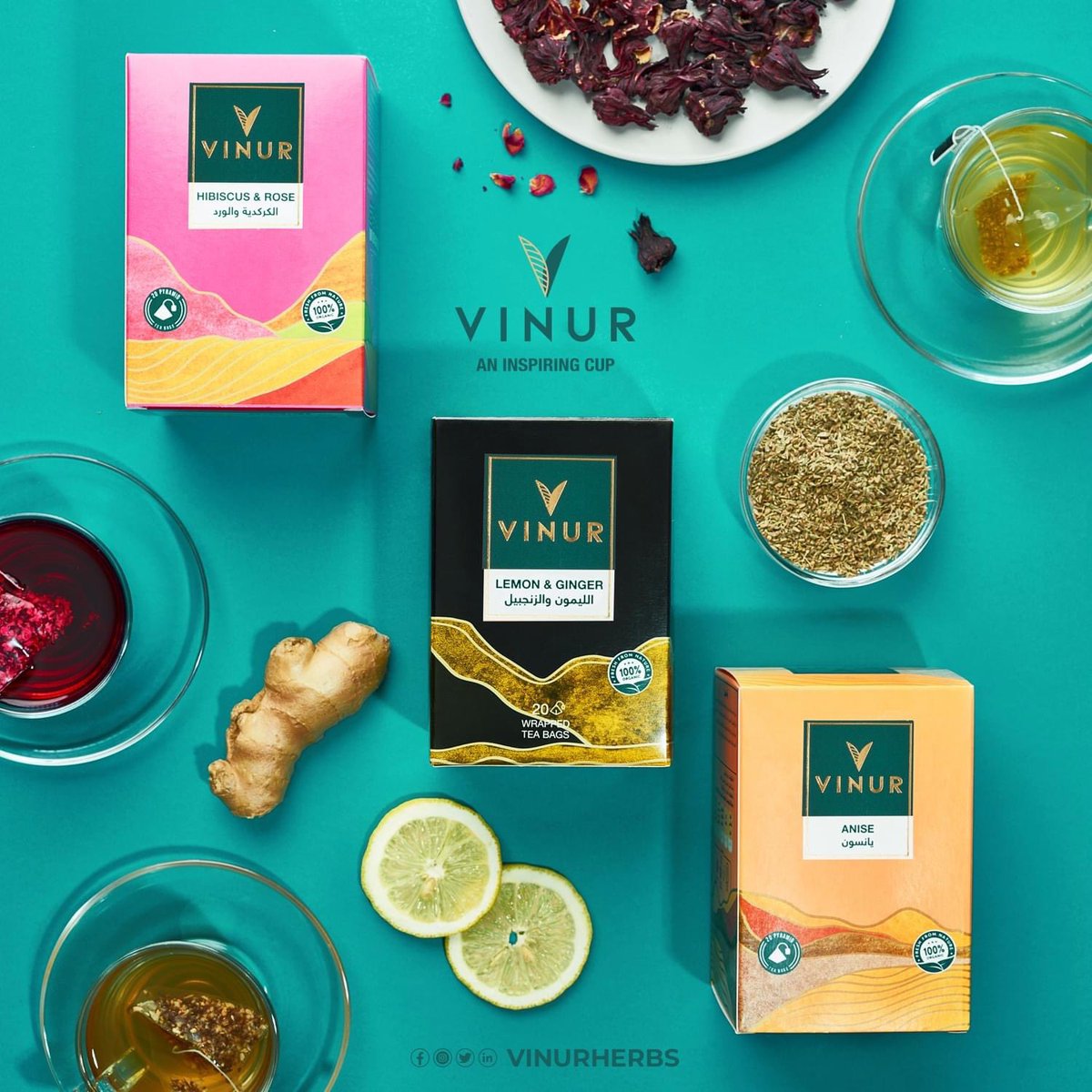 vinurherbs's tweet photo. Morning cup of Lemon Ginger, nightly Anise ، Hibiscus with Roses in the mid of the day 💖
Enjoy the healthier experience everyday with VINUR 💚
زنجبيل بالليمون دافي الصبح على الريق 🍋
كركديه بالورد في نص اليوم 🌸
يانسون قبل النوم 🍵
#vinur
#صاحب_كل_وقت https://t.co/9juc2IFa0S