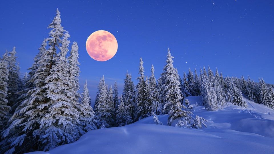 GeneVatow's tweet image. Tall pine mountainside
Snow Moon resolutely rises
above beasts in hibernation
a frigid world of frost
Artful impressions fulminate
in icy lit darkness
Warmth of spring
only weeks away
#vss365 #hibernate
#BrknShards #art
#Poetry