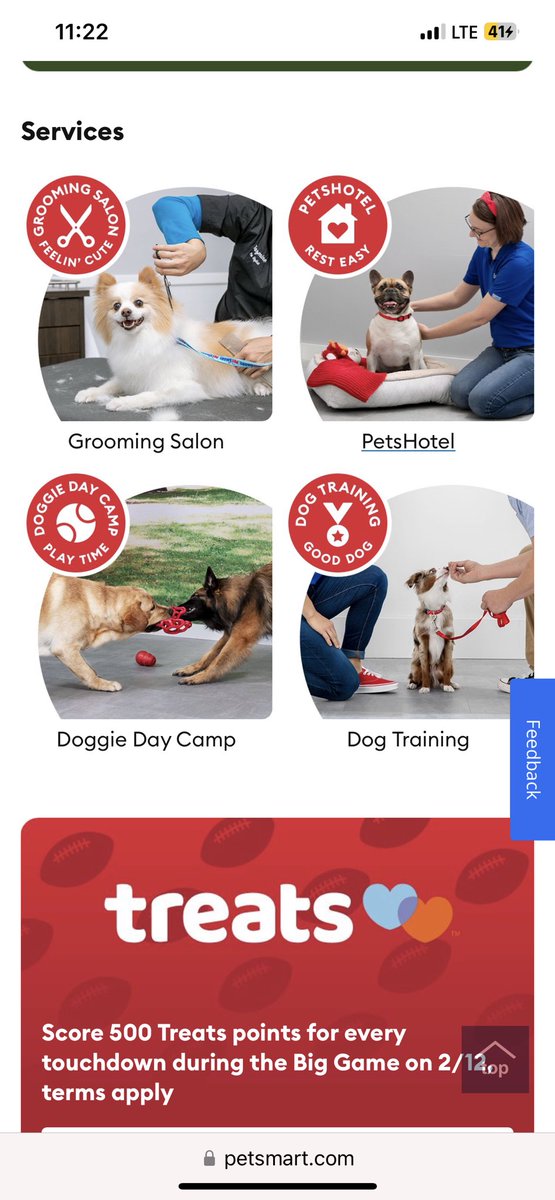 Kristi Smith tweet media