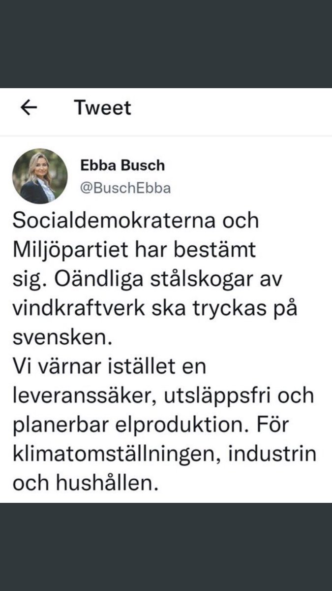 Ebba Busch ägnade en hel valrörelse till att angripa vindkraften. När hon nu sitter med regeringsansvaret och inser att näringslivet kräver de vindkraftverk hon motsatt sig, byter hon fot och vill själv bygga ”stålskogar”. Det inger inget förtroende.