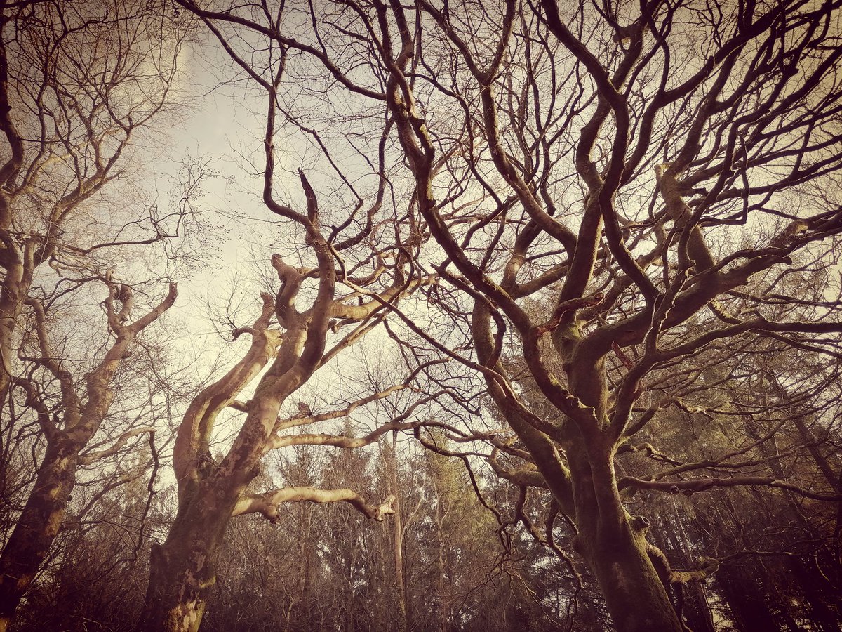 MONTS D'ARRÉE
TRÉSOR DAMNÉ
ROMAN DÉSERT

#anagrammes