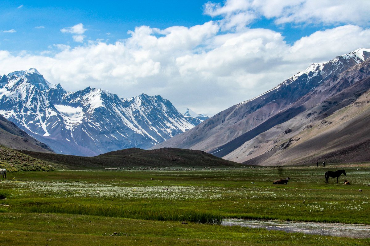 dhandlaik's tweet photo. The beauty of nature knows no bounds! Snowy peaks &amp; verdant grasslands in perfect harmony 🏔️🌿
.
 #Spiti #SnowCladMountains #GreenGrasslands #NatureLovers #photooftheday #photo #Himachal #MondayMotivation #snow https://t.co/UpC6oND4Le