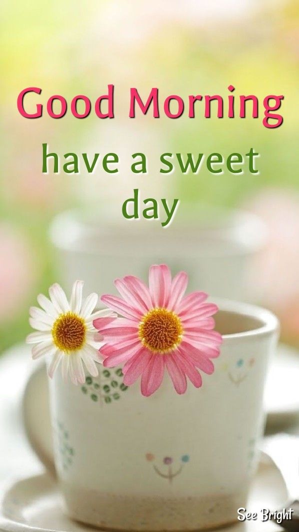 drlalpathlab4's tweet image. 