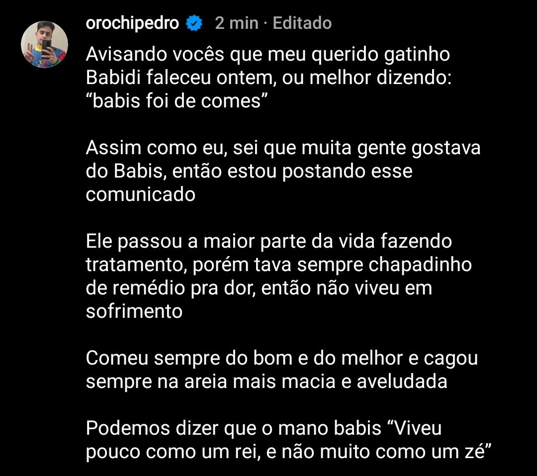 Página Séria. tweet media