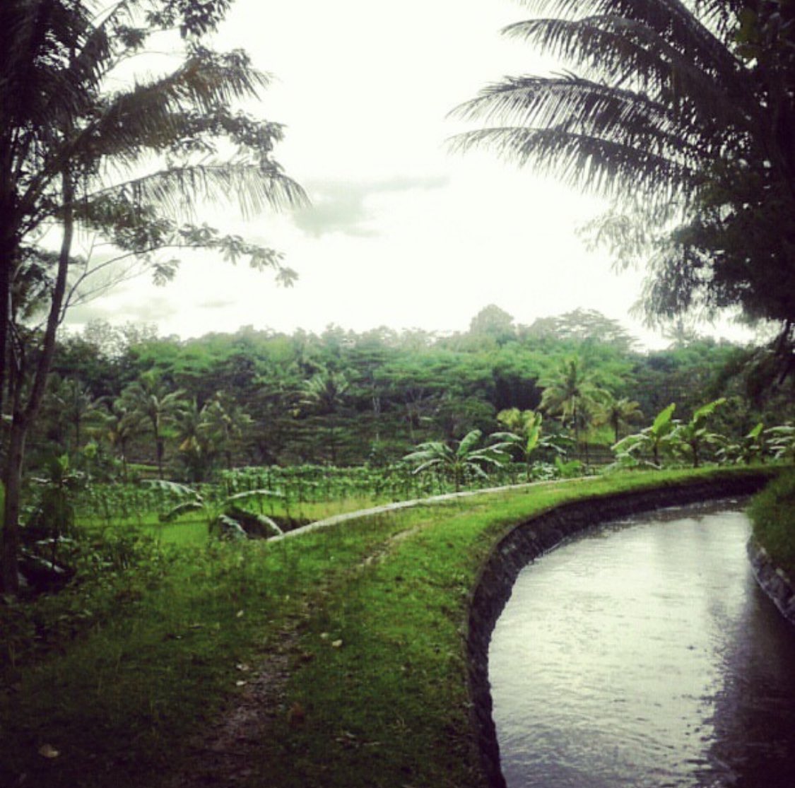 jawafess's tweet photo. Orang Jateng - Jatim rumahnya menghadap sungai. Orang Jabar membelakangi.

Dampak besarnya, halaman depan pasti terawat. Karena ini yg pertama kali dilihat semua orang.

Beda kalau sungai ada di belakang rumah. Dianggapnya sebagai “aib” dan tertutup. Makanya jadi jorok dan kumuh. https://t.co/ij3xZP9xhv