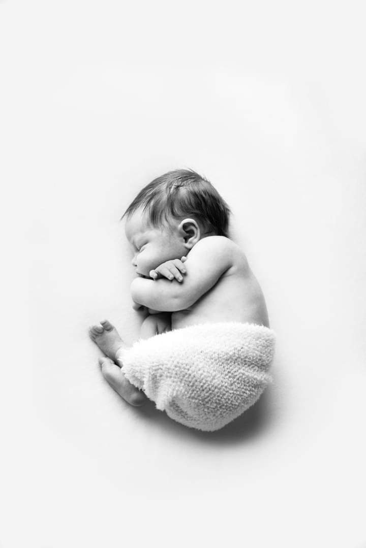 literlandweb1's tweet photo. "Nuestra primera vivencia es una negación. Momentos antes lo éramos todo. De pronto nos convertimos en una partícula sobrante que tendrá que afirmarse con esfuerzo en el mundo donde cayó como a un vacío desde su total plenitud".
Lou Andreas-Salomé
📷 Edmonton https://t.co/7mR5Gi4kIQ