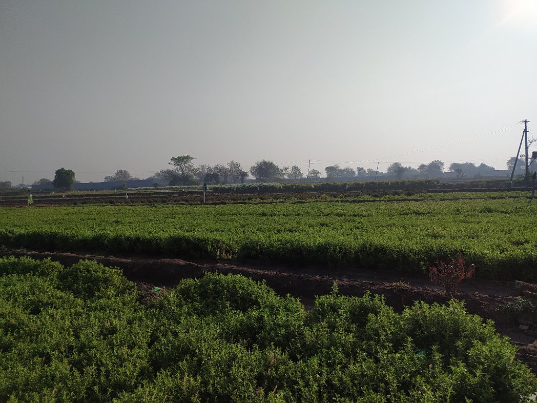 A good Monday morning