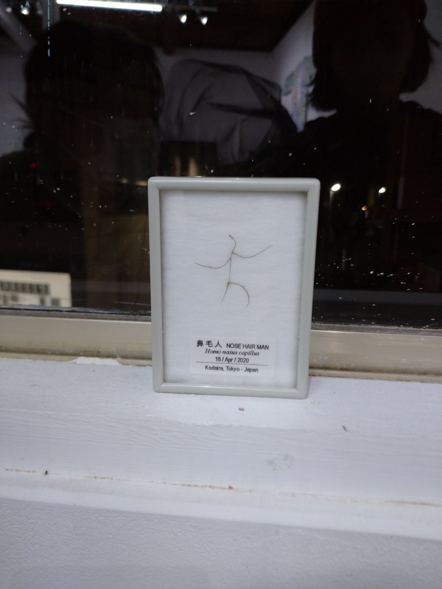 展示は月火休みで、水曜から再開です。
ご注意ください。
水〜日まで残すところあと５日です。
「育てるルーティーン、踊るわたし 」hanage （青木真莉子＋秋山幸＋戸田祥子）
日曜(2/12)は作品解説トークがあります!
ongoing.jp/tag/video/soda…

写真は特別ゲスト作品の鼻毛人（東野哲史さん作）